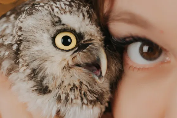 Lucky 31 Casino Support